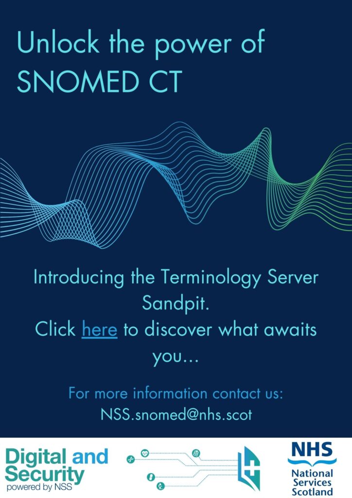 Terminology Server Sandpit Visual